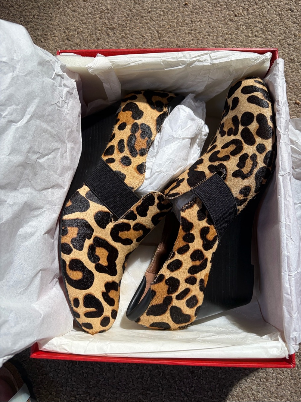 New in Box!!! Gorgeous Leopard print wedge shoes from Donald J Pliner!!!!